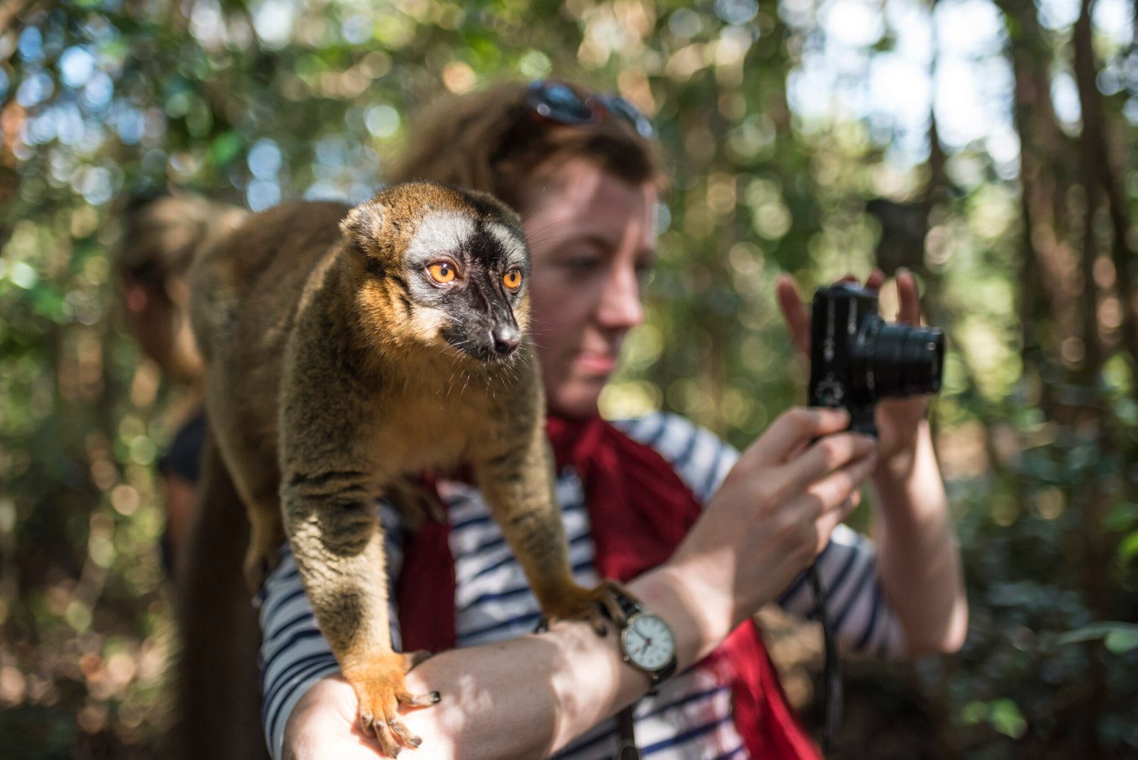 Happy Exotic Pets